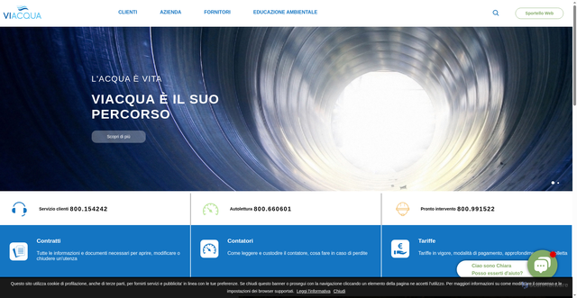 Security scan screenshot of https://www.viacqua.it/