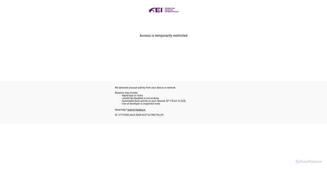 Security scan screenshot of https://www.fei.org/jumping