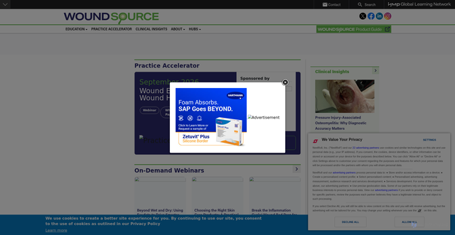 Security scan screenshot of https://www.woundsource.com