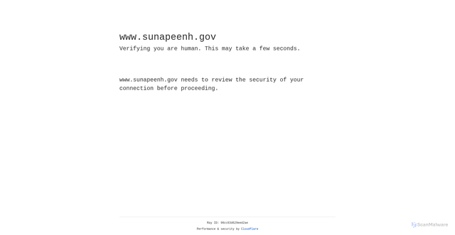 Security scan screenshot of https://www.sunapeenh.gov/