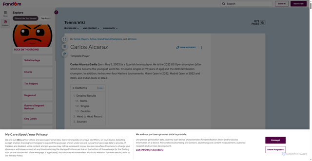 Security scan screenshot of https://tennis.fandom.com/wiki/Carlos_Alcaraz