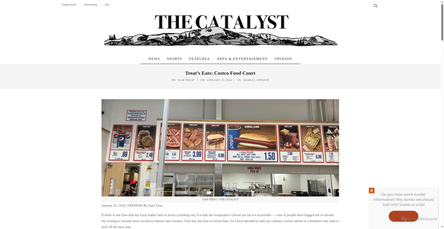 Security scan screenshot of https://thecatalystnews.com/2024/01/25/treats-eats-costco-food-court/