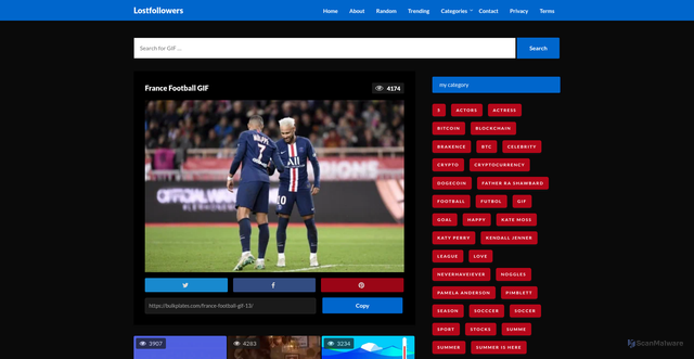 Security scan screenshot of https://bulkplates.com/france-football-gif-13/