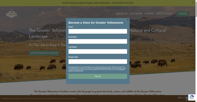 Security scan screenshot of https://greateryellowstone.org/