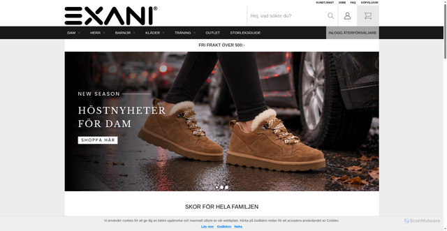 Security scan screenshot of https://exani.se