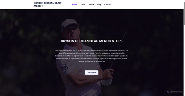 Security scan screenshot of https://brysondechambeaumerch.com/