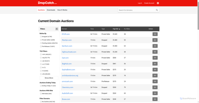 Security scan screenshot of https://www.dropcatch.com