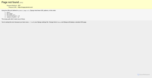 Security scan screenshot of https://image.plumint.com