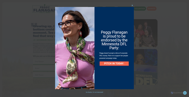 Security scan screenshot of https://peggyflanagan.com/
