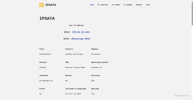 Security scan screenshot of https://ipsaya.org