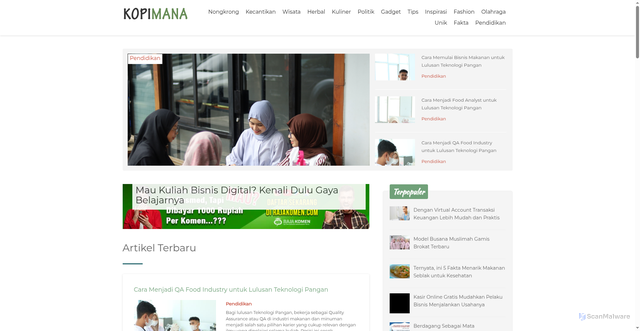 Security scan screenshot of https://kopimana.com