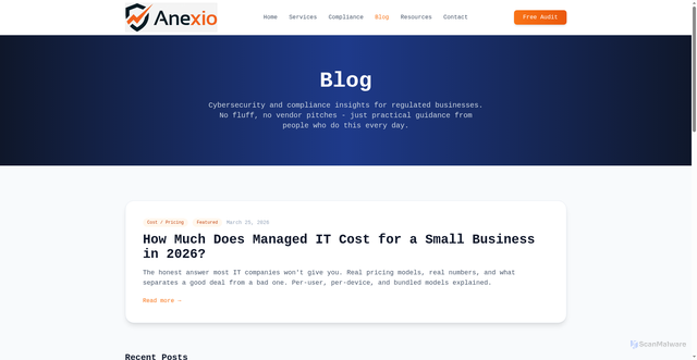 Security scan screenshot of https://anexio.co/blog.html
