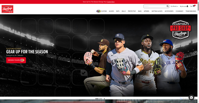 Security scan screenshot of https://rawlings.com