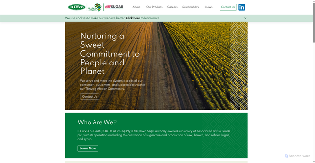 Security scan screenshot of https://illovo.co.za