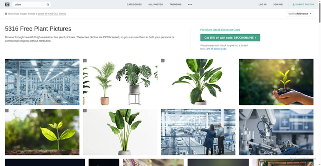 Security scan screenshot of https://edde-5ygyg.pages.dev/search/plant