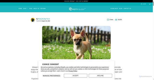 Security scan screenshot of https://pottybuddy.co/blogs/potty-buddy-blog/chihuahua-dog-breed-information-characteristics