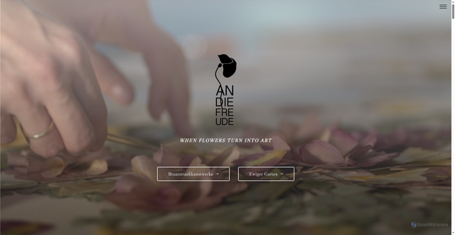 Security scan screenshot of https://andiefreude.at