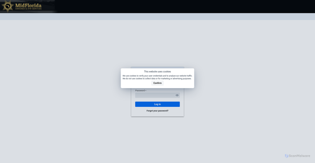 Security scan screenshot of https://midfla-web.namsys.net