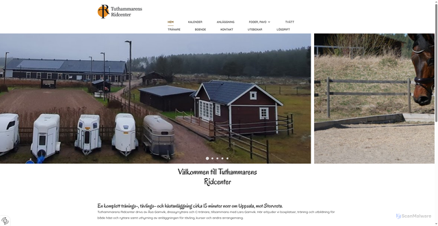 Security scan screenshot of https://tuthammarensridcenter.se