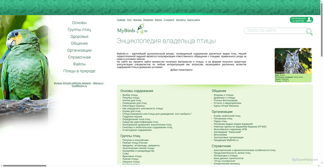 Security scan screenshot of https://www.mybirds.ru