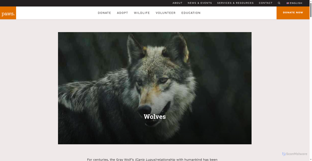 Security scan screenshot of https://www.paws.org/resources/wolves/