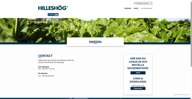Security scan screenshot of https://xn--hilleshg-t4a.se