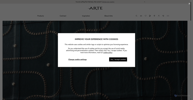 Security scan screenshot of https://arte-international.com