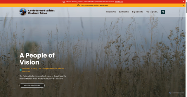 Security scan screenshot of https://cskt.org/