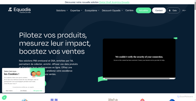 Security scan screenshot of https://equadis.com