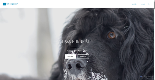 Security scan screenshot of https://lisashundhjalp.se