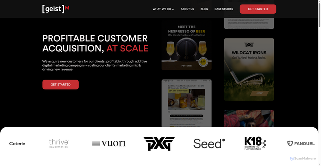 Security scan screenshot of https://geistm.com