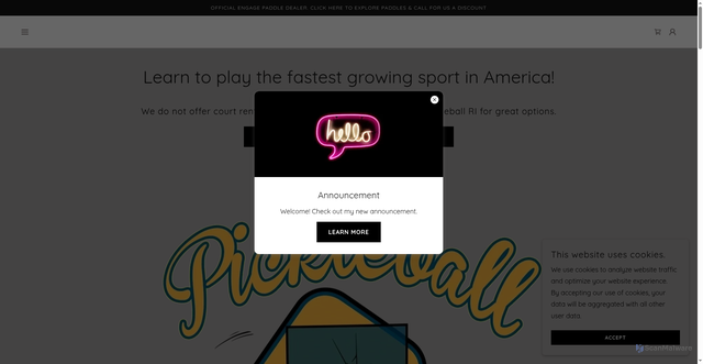 Security scan screenshot of api.ola.godaddy.com