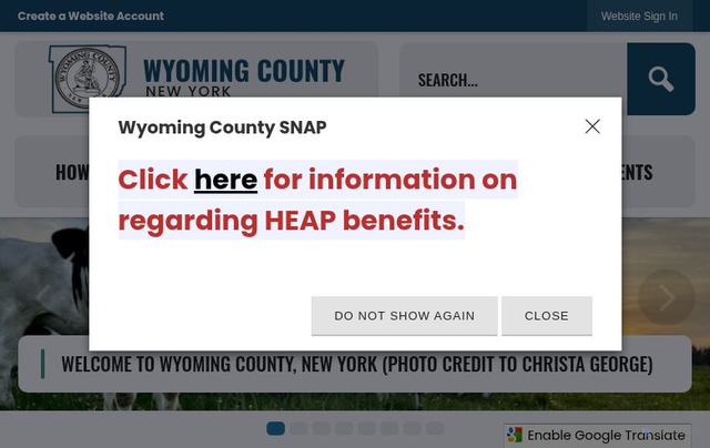 Security scan screenshot of http://www.wyomingcountyny.gov/