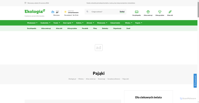 Security scan screenshot of http://xn--pajki-5wa.pl/