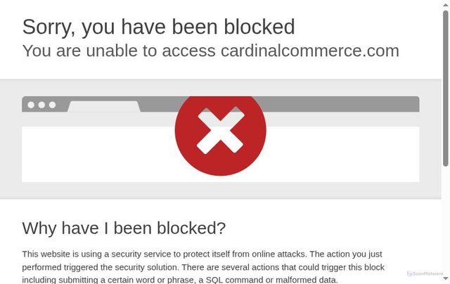 Security scan screenshot of https://centinelapi.cardinalcommerce.com/