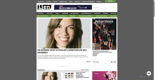 Security scan screenshot of https://lienmultimedia.com