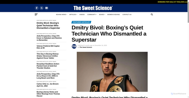 Security scan screenshot of https://tss.ib.tv/boxing/dmitry-bivol-boxings-quiet-technician-who-dismantled-a-superstar/