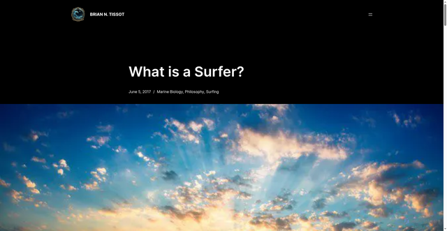 Security scan screenshot of https://briantissot.com/2017/06/05/surfer-defined/