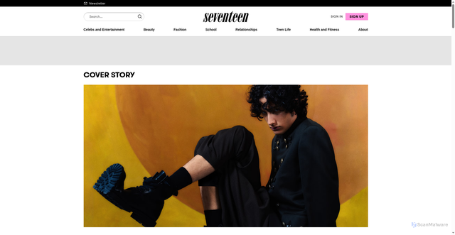 Security scan screenshot of https://www.seventeen.com