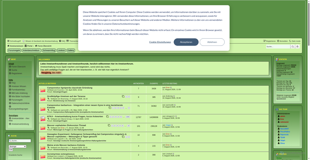 Security scan screenshot of ameisenforum.de
