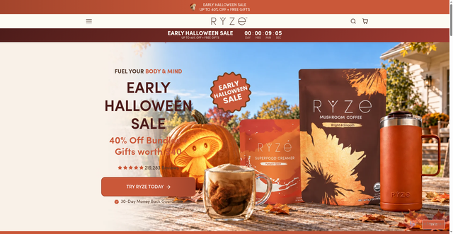 Security scan screenshot of https://www.ryzesuperfoods.com