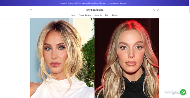 Security scan screenshot of https://tinysparkkids.com/blogs/news/alix-earle-net-worth