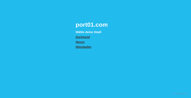 Security scan screenshot of https://port01.com