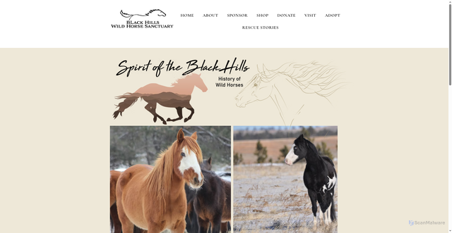 Security scan screenshot of https://www.wildmustangs.com/history-of-the-wild-horse?srsltid=AfmBOoodqdWYtbT_t1ipGpuJq3Xhz_188Y0lgsAZHifYrLkUphOibGV5