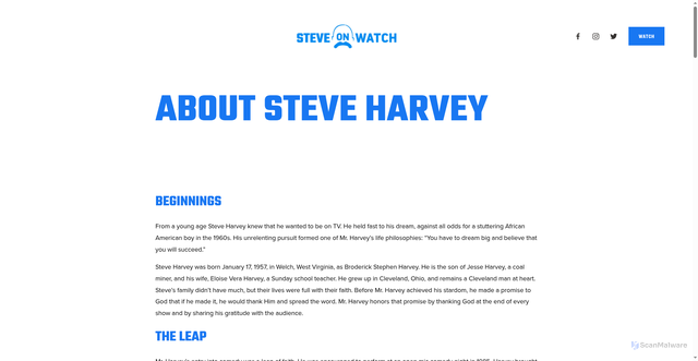 Security scan screenshot of https://www.steveonwatch.com/about