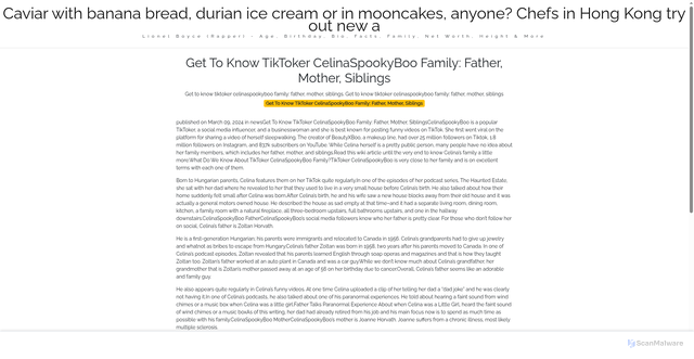 Security scan screenshot of https://mggburnsblog-rcr7wuwi6l.edgeone.app/2708-get-to-know-tiktoker-celinaspookyboo-family-father-mother-siblings.html