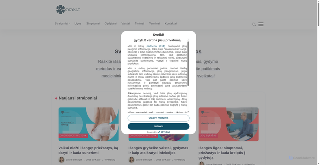 Security scan screenshot of https://gydyk.lt