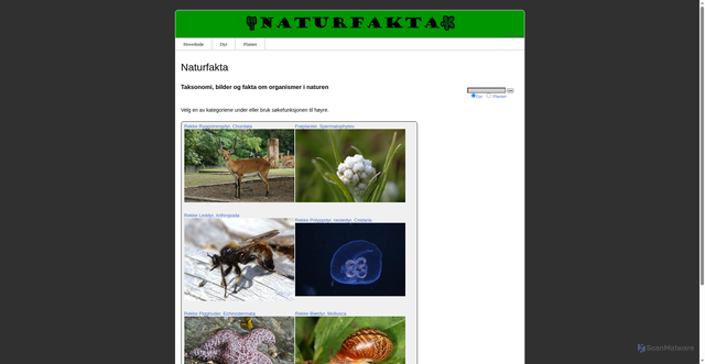 Security scan screenshot of https://www.naturfakta.no