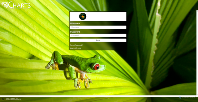 Security scan screenshot of https://gibault-new.e-charts.com