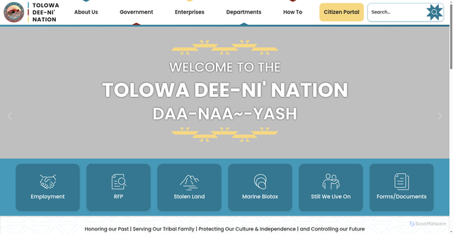 Security scan screenshot of https://www.tolowa.gov/